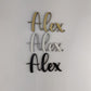 3D Pet Name Sign