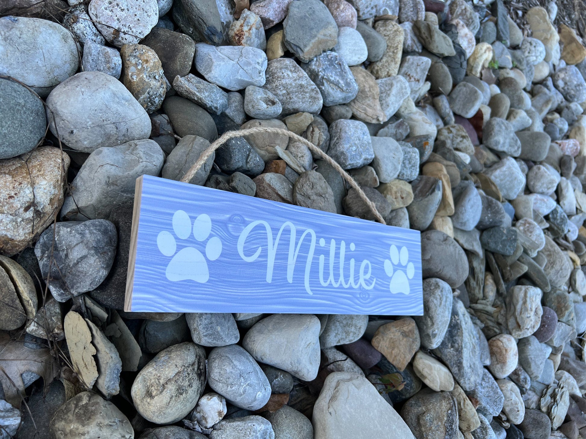 Pet Name Sign, Custom Dog Name Sign, Personalized Cat Name Sign